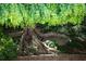 Mature tree with beautiful roots and rock wall at 4615 Northside Dr, Atlanta, GA 30327