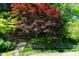 Landscaped hillside with beautiful vibrant trees and stone steps leading upwards at 4615 Northside Dr, Atlanta, GA 30327