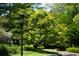 Landscaping featuring large green tree and lantern style light post at 4615 Northside Dr, Atlanta, GA 30327