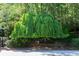 Lush landscaping showcases a stunning weeping tree at 4615 Northside Dr, Atlanta, GA 30327