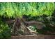 Exposed tree roots on a hillside with rock detail and lush greenery at 4615 Northside Dr, Atlanta, GA 30327