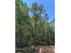 View of the heavily wooded backyard of this new home construction property at 3790 Chattahoochee (Lot 33) Rd, Cumming, GA 30041