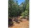 A partially cleared lot, awaiting a backyard transformation surrounded by mature trees at 3790 Chattahoochee (Lot 33) Rd, Cumming, GA 30041