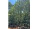 Wooded backyard of a property in new home construction at 3790 Chattahoochee (Lot 33) Rd, Cumming, GA 30041
