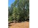 Wooded backyard of a property in new home construction at 3790 Chattahoochee (Lot 33) Rd, Cumming, GA 30041