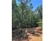 Wooded backyard of a property in new home construction at 3790 Chattahoochee (Lot 33) Rd, Cumming, GA 30041