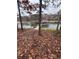 View of a dock and lake through trees on an overcast day at 3790 Chattahoochee Rd, Cumming, GA 30041