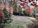Backyard featuring a full size basketball court with beautiful trees, great for recreation at 2020 Wilandrew Dr, Decatur, GA 30033
