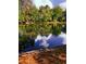 Beautiful view of ducks swimming in the pond surrounded by a lush landscape at 2626 Peachtree Nw Rd # 1007, Atlanta, GA 30305