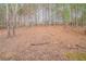 Wooded backyard with mature trees at 6797 Mahonia Pl, Lithonia, GA 30038