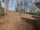 Leaf covered backyard features a small, empty patio and a large yard at 5676 Marbut Rd, Lithonia, GA 30058