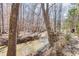 Natural creek flowing through a wooded area, providing a serene and peaceful setting at 3980 Saint Elisabeth Sq, Duluth, GA 30096