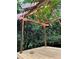 Outdoor pergola with wood decking and string lights, surrounded by lush greenery at 1263 Briarcliff Ne Rd, Atlanta, GA 30306
