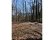 Expansive backyard features mature trees, offering privacy at 641 Spring Forest Dr, Lawrenceville, GA 30043