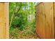 Pathway through a wooden gate leads to a peaceful woodland area, creating a private natural setting at 244 Locust Ne St # B, Atlanta, GA 30317