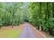 Long driveway to the house surrounded by beautiful trees at 5040 Blackberry Ln, Buford, GA 30518