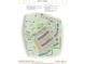 Brackley Summit Site Map featuring townhomes and single Gathering home collections at 167 Basil Street Dr, Cumming, GA 30040