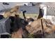 Aerial view of the home showing the deck, backyard, and surrounding neighborhood at 213 Roseman Way, Woodstock, GA 30188