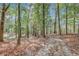 Wooded backyard with leafy ground at 7030 Cascade Palmetto Hwy, Palmetto, GA 30268