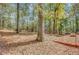 Large wooded backyard with leafy ground at 7030 Cascade Palmetto Hwy, Palmetto, GA 30268
