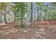 Backyard wooded area with leafy ground, hammock, and seating area at 7030 Cascade Palmetto Hwy, Palmetto, GA 30268
