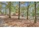 Quaint one-story house featuring a brick facade and cozy, traditional architecture at 7030 Cascade Palmetto Hwy, Palmetto, GA 30268
