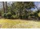Expansive backyard with mature trees and grass, offering plenty of space for recreation and enjoying nature at 270 Grapevine Run, Sandy Springs, GA 30350