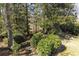 Lush backyard greenery featuring mature trees, bushes, and natural landscaping providing shade and privacy at 270 Grapevine Run, Sandy Springs, GA 30350