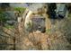 Overhead view of a home surrounded by lush trees and foliage with a curved driveway at 9625 River Lake Dr, Roswell, GA 30075