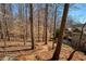 View of the backyard showcasing a natural landscape and the home's setting among trees at 9625 River Lake Dr, Roswell, GA 30075