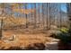 Backyard area with natural landscaping and stone walking path at 9625 River Lake Dr, Roswell, GA 30075