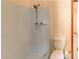 Simple bathroom with a blue tiled shower and white toilet at 123 Creek Cir, Stockbridge, GA 30281