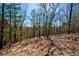 View of a wooded area filled with mature trees and leaf-covered ground, showcasing the property's natural surroundings at 139 Stargaze Rdg, Canton, GA 30114