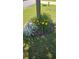 A flower bed adds beauty to the yard with yellow daylilies and dusty miller at 139 Stargaze Rdg, Canton, GA 30114
