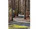 Walking trail lined with trees, offering a serene outdoor experience at 2520 Deerfield Nw Dr, Kennesaw, GA 30144