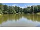 Scenic pond with fountain and mature trees, offering a peaceful and picturesque community setting at 8440 Woodland Brooke Trl, Cumming, GA 30028