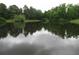 A tranquil pond reflects the surrounding trees, showcasing a peaceful waterside setting at 8440 Woodland Brooke Trl, Cumming, GA 30028