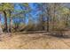 View of the backyard with several trees at 5498 Balmoral Dr, Douglasville, GA 30135