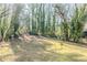 Large grassy backyard with mature trees creating a serene and private outdoor space at 1662 Flintwood Se Dr, Atlanta, GA 30316