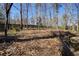 Expansive backyard with mature trees and natural landscaping, offering privacy at 3550 Beaver Cove Rd, Cumming, GA 30041