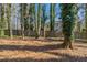 Large backyard with a wood fence and mature trees at 6381 Phillips Creek Dr, Lithonia, GA 30058