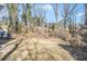 Overgrown backyard featuring a hill and an abundance of trees and weeds at 4326 Newton Cir, Douglasville, GA 30134