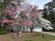 Exterior shot of home surrounded by flowering trees and lush landscaping, showcasing curb appeal at 4020 Winchester Way, Loganville, GA 30052
