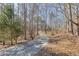 View of the home's long driveway, lined by mature trees at 218 Sutallee Ridge Ne Ct, White, GA 30184