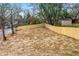 A view of the backyard with a brand new fence at 3139 Alston Dr, Decatur, GA 30032