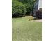 Large grassy backyard with trees and minimal landscaping on a sunny day at 251 Waterford Cove Dr, Suwanee, GA 30024