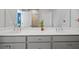 Bathroom featuring a double vanity with white countertop, grey cabinets and decorative plant at 399 Skylar Se Way, Atlanta, GA 30315