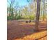 Community dog park featuring chairs, picnic table and a spacious, wooded area for dogs at 1523 Vancouver Dr, Tucker, GA 30084