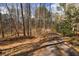 Long driveway winding through a wooded lot, offering privacy and a touch of nature at 150 Hillred Dr, Fayetteville, GA 30215