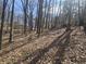 A wooded hillside, covered in fallen leaves, with trees and glimpses of a house at 2540 Marsha Cir, Cumming, GA 30041